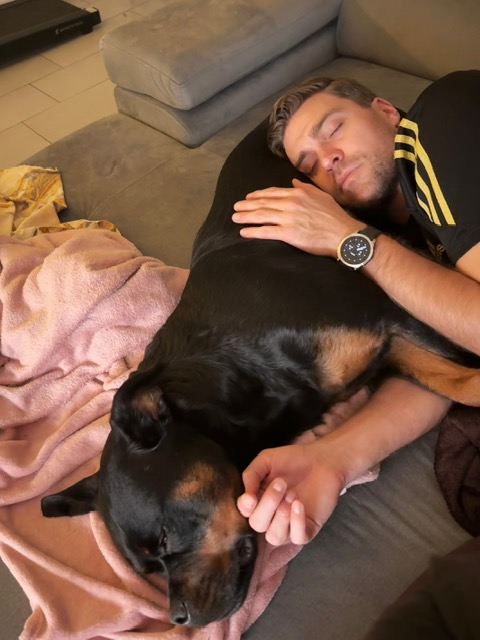Šťastný pes s novou rodinou po adopci